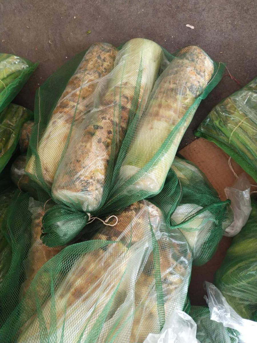 frutnveg 1