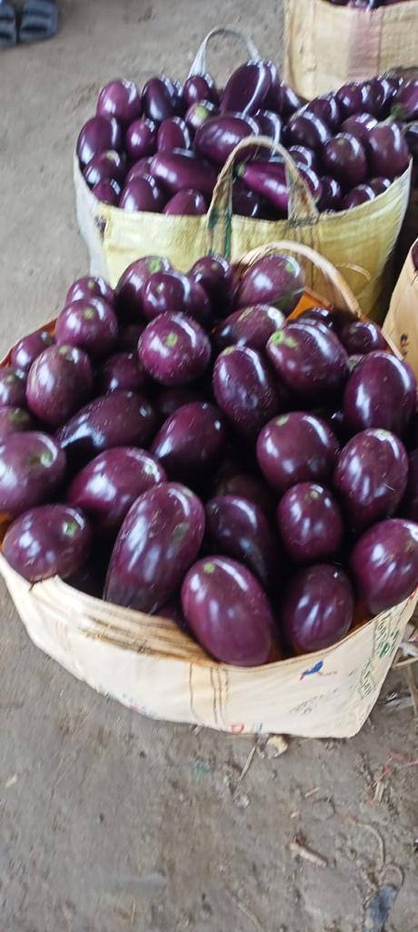 frutnveg 18