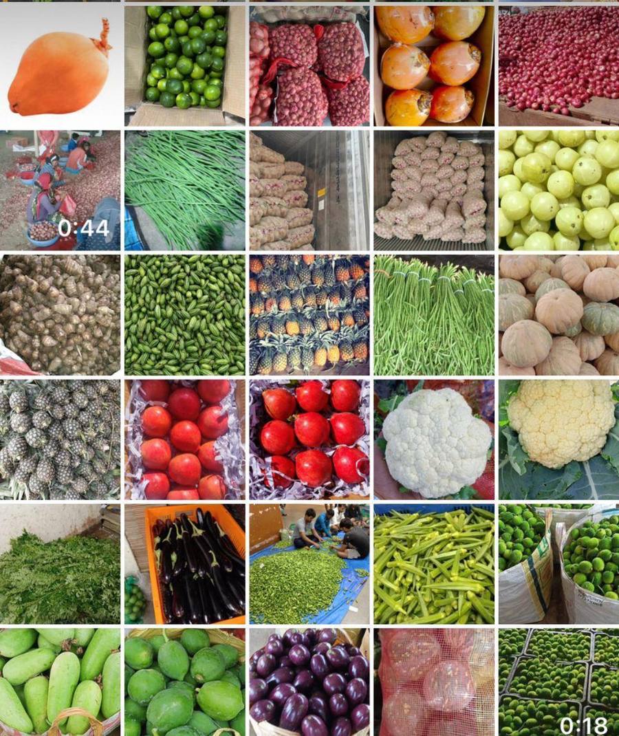frutnveg 21