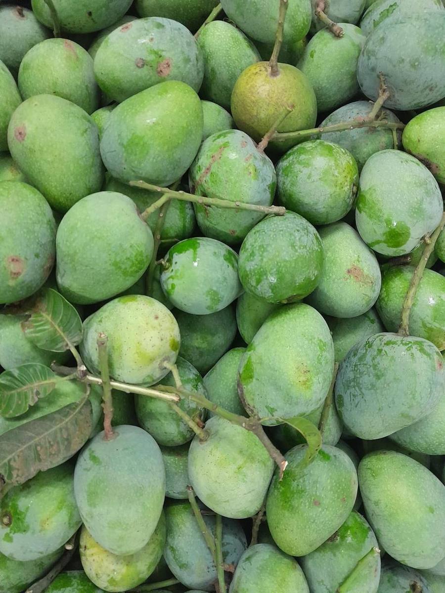 frutnveg 30