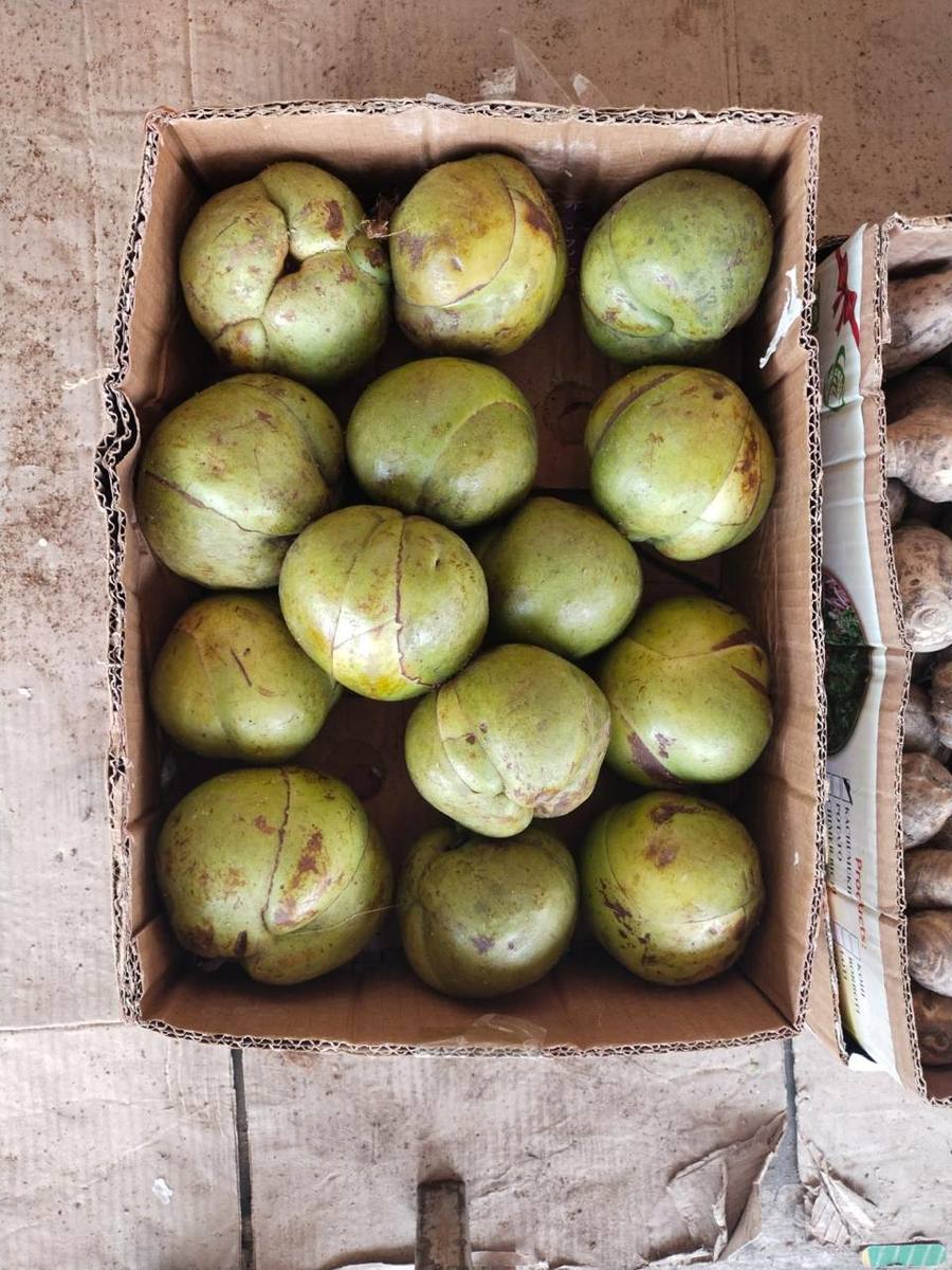 frutnveg 5